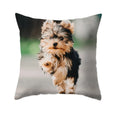 Axyaa Dog Print Polyester Cushion Cover for Sofa Living Room 45X45CM