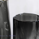 Axyaa Clear Glass Vase: Stylish Cylinder for Hydroponic Flowers and Home Decor