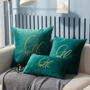 Soft Velvet Embroidered Cushion Cover by Axyaa