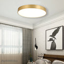 Axyaa Modern Gold Acrylic LED Ceiling Light - Ultra-thin Surface Lamp for Living Room
