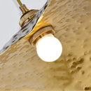 Axyaa Golden Iron Lotus Leaf Chandelier for Coffee Shop & Bedroom