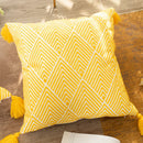 Axyaa Geometric Embroidered Cotton Pillow Covers - Set of 2