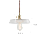 Axyaa Glass Pendant Lights: Nordic Japan Style for Bar Cafe Living Room Industrial Vintage Lamp