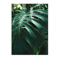 Nordic Jungle Animal Print Monstera Leaf Wall Art by Axyaa