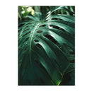 Nordic Jungle Animal Print Monstera Leaf Wall Art by Axyaa