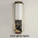 Axyaa Iron Glass Wall Lamp for Living Room Bedroom TV Background Sconce