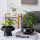 Axyaa White Ceramic Round Flower Pot Vase for Home Decor and Hydroponic Arrangements