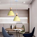 Nordic Style E27 LED Chandelier by Axyaa - Modern Pendant Light for Home Decor