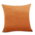 Axyaa Luxury Velvet Beige Cushion Cover for Elegant Home Decor