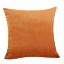 Axyaa Luxury Velvet Beige Cushion Cover for Elegant Home Decor