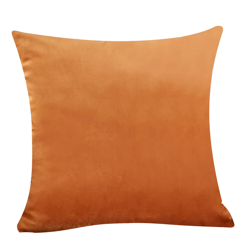 Axyaa Luxury Velvet Beige Cushion Cover for Elegant Home Decor