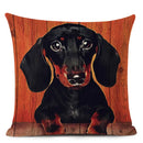 Colourful Bull Terrier & Dachshund 3D Cushion Cover for Home Sofa by Axyaa