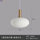 Axyaa Nordic Glass Pendant Light for Bedroom Dinning Living Room - Modern LED Hanglamp