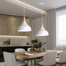 Axya Industrial Vintage LED Pendant Lamp for Stylish Living Room & Bedroom Lighting