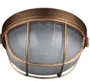 Axyaa Iron Edison Ceiling Lights: Vintage Industrial Style Lamp Fixtures