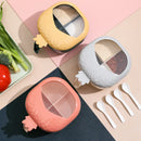 Axyaa 4-in-1 Spice Jar Organizer with Transparent Cover and Spoon