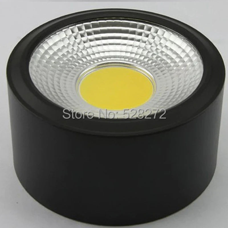 Axya 3W-15W COB LED Downlight for Ceiling, Clothing, Exhibition, Decorative Lighting