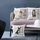Axyaa Dachshund Dog Velvet Cushion Cover for Living Room Sofa - Home Decor Pillowcase