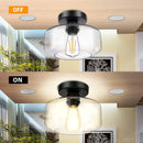 Axyaa Modern Clear Glass Ceiling Lamp for Bedroom, Dining Hall & Corridor Lighting