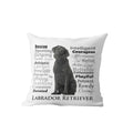 Axyaa Dachshund Dog Velvet Cushion Cover for Living Room Sofa - Home Decor Pillowcase