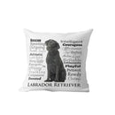 Axyaa Dachshund Dog Velvet Cushion Cover for Living Room Sofa - Home Decor Pillowcase