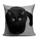 Axyaa Cute Cat Hand-Painted Linen Pillow Cover Black White Yellow