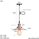 Axyaa Retro LED Pendant Light | Silver Vintage Industrial Hanging Lamp