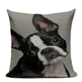 Axyaa Luxury Animal Pillow Case - 45x45cm Square Custom Cushion