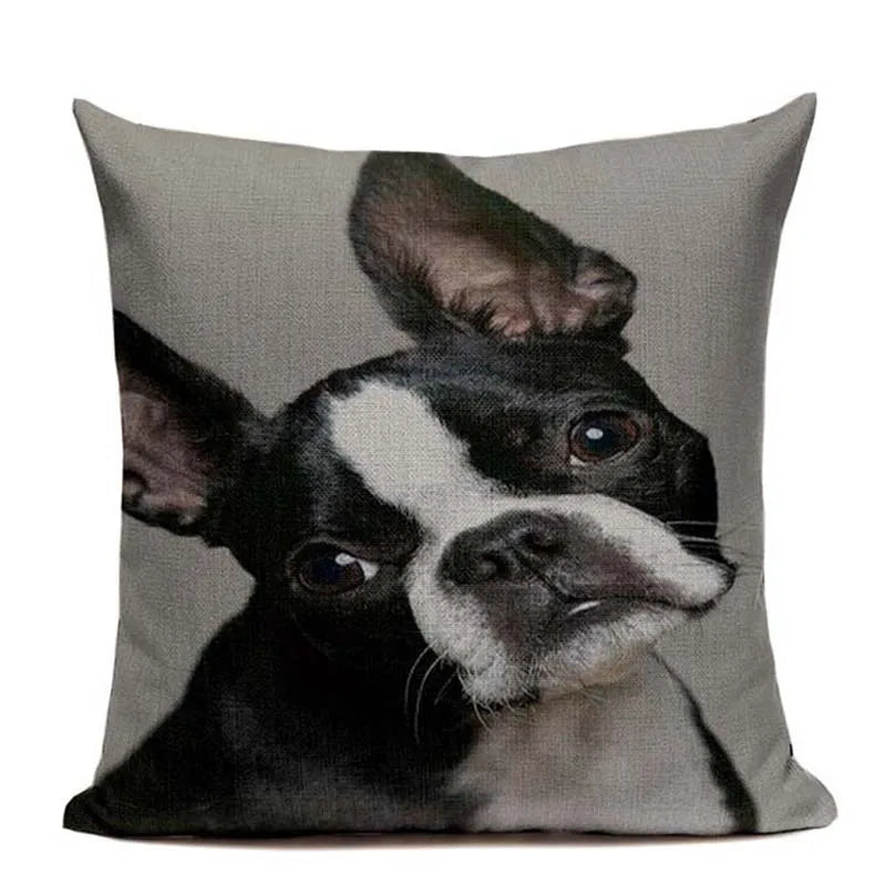 Axyaa Luxury Animal Pillow Case - 45x45cm Square Custom Cushion