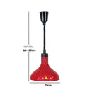 Axyaa Electric Heat Lamp 250W Pendant Light for Food Preservation