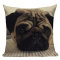 Axyaa Pug Animal Decor Cushion Cover Home Decorative Pillow 45x45cm