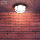 Axyaa Vintage Bronze Ceiling Lamp with E27 Socket for Industrial Outdoor Lighting