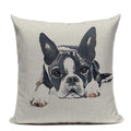 Axyaa Luxury Animal Pillow Case - 45x45cm Square Custom Cushion