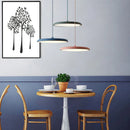 Axyaa Macaron Acrylic Pendant Lights for Restaurant Cafe Hotel Bedroom