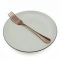 Axyaa Rainbow Flatware Set of 4 Long Handle Dinner Forks