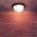 Axyaa Vintage Bronze Outdoor Ceiling Lamp, Waterproof Glass Yard Light