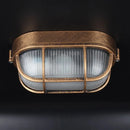 Axyaa Iron Edison Ceiling Lights: Vintage Industrial Style Lamp Fixtures
