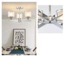 Axyaa Chrome Metal Crystal Chandelier with Double Glass Shades