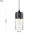 Axyaa Glass Nordic Pendant Lamp for Dinning Room and Cafe, Modern Industrial Lighting Fixtures