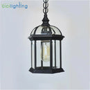 Axyaa Outdoor Pendant Light with Antique Aluminum Alloy and Clear Glass Shade