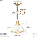 Axyaa Nordic Style LED Copper Glass Pendant Lamp for Home, Bar, Dinning Room