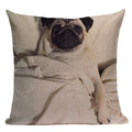Axyaa Pug Animal Decor Cushion Cover Home Decorative Pillow 45x45cm