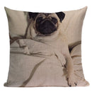 Axyaa Pug Animal Decor Cushion Cover Home Decorative Pillow 45x45cm