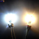 Axyaa LED G4 Bulb Light 10PCS - Energy Efficient Lighting Solution for Chandeliers