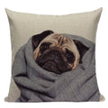 Axyaa Pug Animal Decor Cushion Cover Home Decorative Pillow 45x45cm
