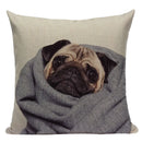Axyaa Pug Animal Decor Cushion Cover Home Decorative Pillow 45x45cm