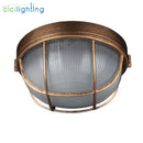 Axyaa Vintage Bronze Outdoor Ceiling Lamp, Waterproof Glass Yard Light