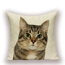 Axyaa Cartoon Cushion Cover 45x45cm - High Quality Pillowcase for Living Room