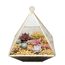 Axyaa Geometric Glass Vase Succulent Plants Terrarium Home Decoration