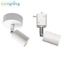 Axyaa Industrial Ceiling Lights LED Surface or Rail Mounted Black White